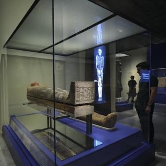 Exposición Momias de Egipto: Redescubriendo seis vidas en CaixaForum Sevilla.