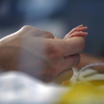 BCNatal, que integra los departamentos de medicina maternofetal y de obstetricia del Hospital Sant Joan de Déu y el Hospital Clínic, trabaja con el apoyo de la Fundación ”la Caixa” en un prototipo de placenta artificial 