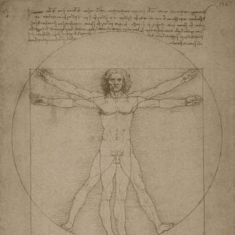 Leonardo da Vinci’s Vitruvian Man, circa 1490. 