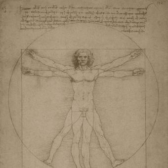 El hombre de Vitruvio de Leonardo da Vinci, hacia 1490. 
