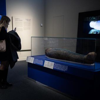 Exposición «Momias de Egipto: Redescubriendo seis vidas».