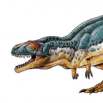 Tyrannotitan chubutensis