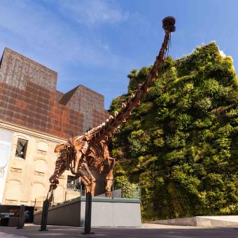 El Patagotitan mayorum se exhibe frente al jardín vertical de CaixaForum Madrid.