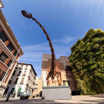 Los transeúntes podrán observar desde la calle la réplica del Patagotitan mayorum.