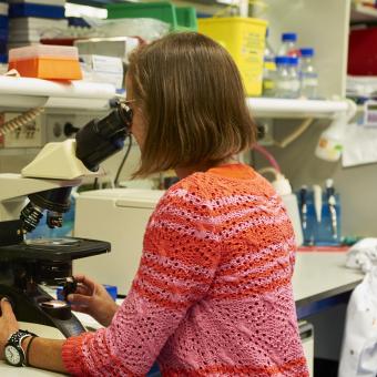 Eva González Suárez, doctora en Biología Molecular e investigadora principal del laboratorio de Transformación y Metástasis del CNIO.