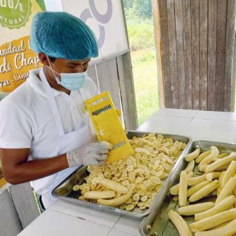 Treballador durant la producció de fulletes de plàtan.