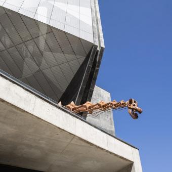 Cuello y cabeza del patagotitan mayorum en CaixaForum Zaragoza.
