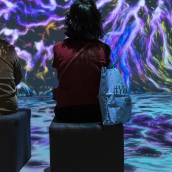 Una de les sales de «Som Natura».