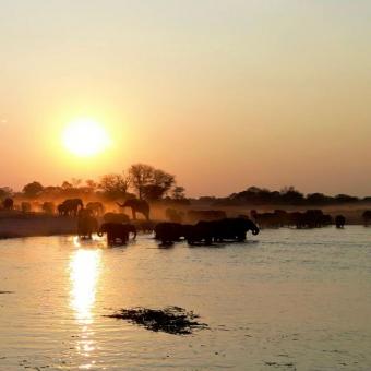 Imatge del documental «Kaza. L’últim refugi d’elefants», conduït pel periodista Xavier Aldekoa.