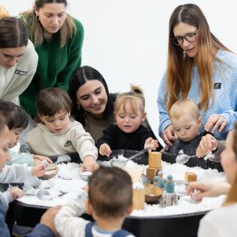 El programa és present a totes les CCAA i compta amb un pressupost anual de prop de 82 milions d'euros.