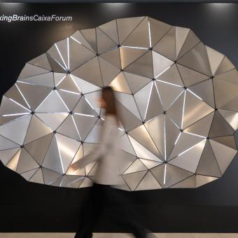 Photocall de l'exposició Talking Brains a CaixaForum Lleida.