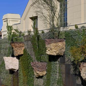 Foto del jardín vertical en CaixaForum Barcelona.  