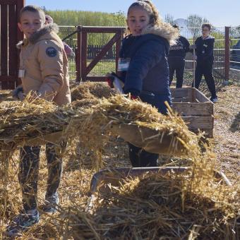 Dos niñas transportando paja en un granero. 