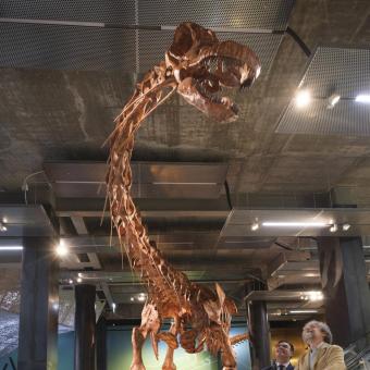 El director de CaixaForum Sevilla, Moisés Roiz, y el coordinador de la exposición, Alejandro Pérez, bajo el Patagotitan mayorum. 