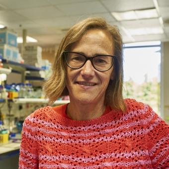 Eva González Suárez, doctora en Biología Molecular e investigadora principal del laboratorio de Transformación y Metástasis del CNIO.