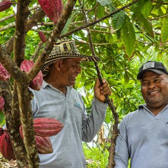 Carlos Torres y un miembro de ASITAPUR en las plantaciones de cacao. 