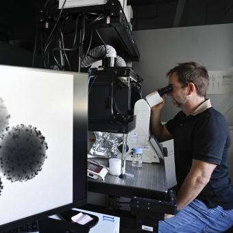 Samuel Sánchez, investigador de l'IBEC. 