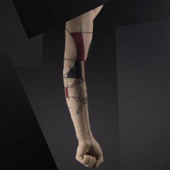 Exposición Tattoo. Diseño de tatuaje en un brazo masculino, 2013. Yann Black © Musée du quai Branly - Jacques Chirac, fotografía Thomas Duval.