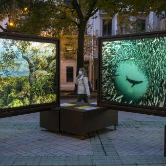 De Polo a Polo, un viaje a los grandes paraísos naturales se podrá visitar hasta el 10 de noviembre de 2020 en Pamplona.