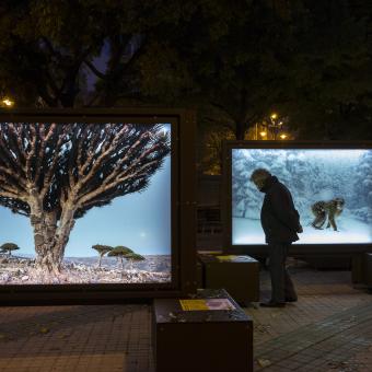 De Polo a Polo, un viaje a los grandes paraísos naturales se exhibe en las calles de Pamplona.