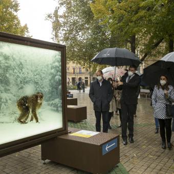 De izquierda a derecha: el director de la Fundación Caja Navarra, Javier Fernández Valdivieso; el comisario de la muestra, Javier Gómez; la directora Territorial Ebro de CaixaBank, Isabel Moreno, y el alcalde de Pamplona, Enrique Maya, en la inauguración de De Polo a Polo, un viaje a los grandes paraísos naturales.