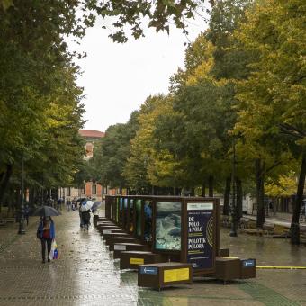 De Polo a Polo, un viaje a los grandes paraísos naturales se podrá visitar hasta el 10 de noviembre de 2020 en Pamplona.