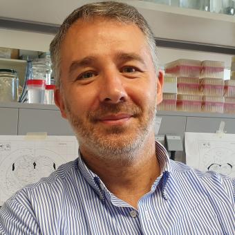 El investigador Miguel López, del CiMUS de la USC NeurObesity y del El CIBER de Fisiopatología de la Obesidad y Nutrición (CIBEROBN).