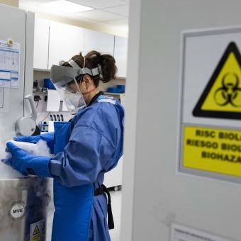 A laboratory technician works during the Covid-19 pandemic.