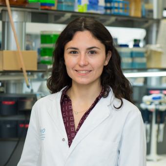 Ariadna Grinyó i Escuer realitza el seu Doctorat en Bioquímica, Biologia Molecular i Biomedicina, al Vall d’Hebron Institut d’Oncologia (VHIO).
