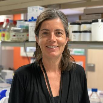 Maria Rosa Sarrias, Germans Trias i Pujol Research Institute (IGTP). Principal investigator: A monoclonal antibody to treat cancer.
