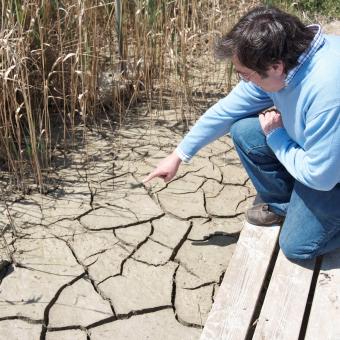 El 28 % del territorio rural español está expuesto a altas tasas de despoblación, el 45 % a problemas de aridez, y el 17,5 % a ambos problemas a la vez.