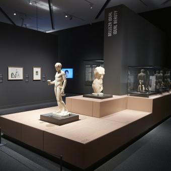 La muestra La imagen humana. Arte, identidades y simbolismo cuenta con una selección de obras de la Colección de Arte Contemporáneo Fundación ”la Caixa”.