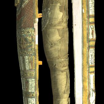 Coffin of Mummy of Penamunnebnesuttawy , open. Probably Thebes, Egypt 25th Dynasty, about 700 BC , wood. © Trustees of the British Museum.