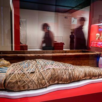Exhibition  Mummies of Egypt: Rediscovering six lives at CaixaForum Madrid.