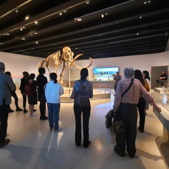 Visitantes pasean alrededor del impresionante mamut. © Fundación ”la Caixa”.