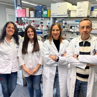 D’esquerra a dreta: Part de l’equip d’investigadors i investigadores del Grup de Recerca DIAMET de l’IISPV que ha participat en l’estudi: Lídia Cedó Giné, Teresa Villanueva Carmona, Sonia Fernández-Veledo i Joan Vendrell.