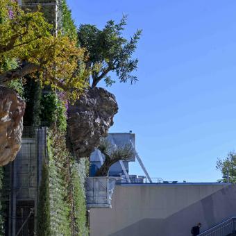 La Fundación ”la Caixa”, en colaboración con Fira de Barcelona y el Ayuntamiento de Barcelona, instala el primer bosque vertical con árboles en suspensión.