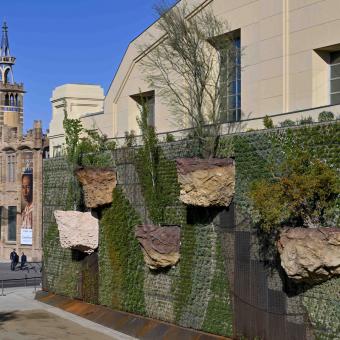 La Fundación ”la Caixa”, en colaboración con Fira de Barcelona y el Ayuntamiento de Barcelona, instala el primer bosque vertical con árboles en suspensión.