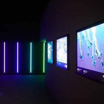 Imagen de la sala de Colores del mundo en CaixaForum Zaragoza.
