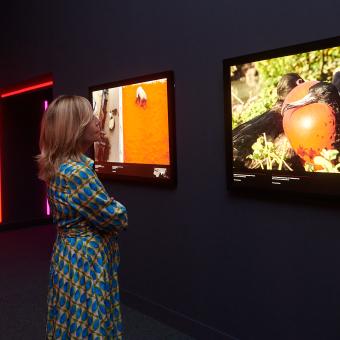 Imagen de la sala de Colores del mundo en CaixaForum Zaragoza.