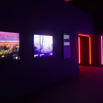 Imagen de la sala de Colores del mundo en CaixaForum Zaragoza.