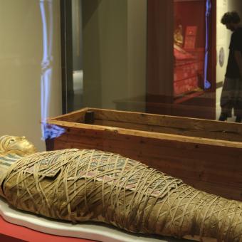 Momias de Egipto: Redescubriendo seis vidas se podrá visitar en CaixaForum Sevilla hasta el 3 de septiembre de 2023.