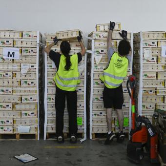 Los bancos de alimentos piden ayuda para hacer frente a la cronificación de la pobreza alimentaria. © David Campos.