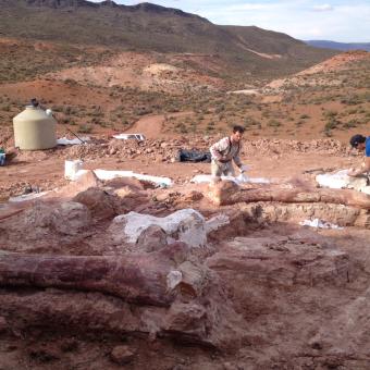 Paleontòlegs del MEF en el terreny on es van trobar els fòssils del Patagotitan mayorum. © MEF.