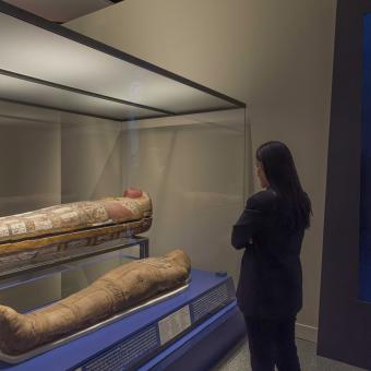 Exposición Momias de Egipto: Redescubriendo seis vidas en CaixaForum València.