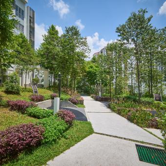 La proximitat a espais verds entorn el domicili s'associa amb un major pes en néixer. © Shutterstock -  jamesteohart.