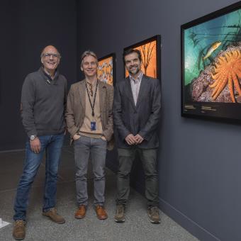D’esquerra a dreta: el comissari de l'exposició, Rubén Duro; el director de CaixaForum València, Álvaro Borrás, i el cap d’Exposicions de Ciència de la Fundació ”la Caixa”, Javier Hidalgo, han inaugurat l'exposició Colors del món a CaixaForum València.