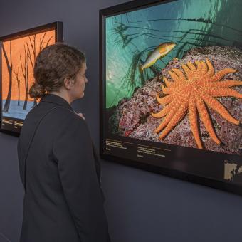 Una visitant observa una de les instantànies de Colors del món a CaixaForum València.