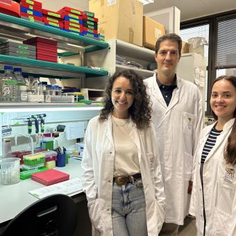Los investigadores Alicia Llorente, Roger Gomis e Irene Espuny, en los laboratorios del IRB Barcelona.
