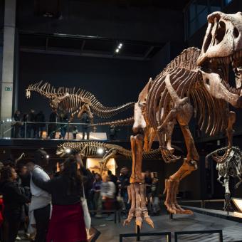 Exposición Dinosaurios de la Patagonia en el Museo de la Ciencia CosmoCaixa, en Barcelona.